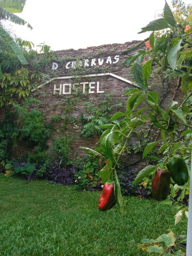 Dch Hostel Backpaquers Concordia Bagian luar foto